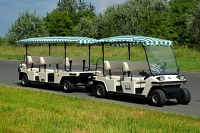 melex Personenfahrzeug Modell 666 mit Anh&auml;nger