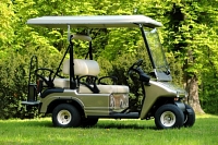 melex Personenfahrzeug Modell 943