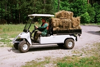 melex Lastentransporter Modell XTR Plus